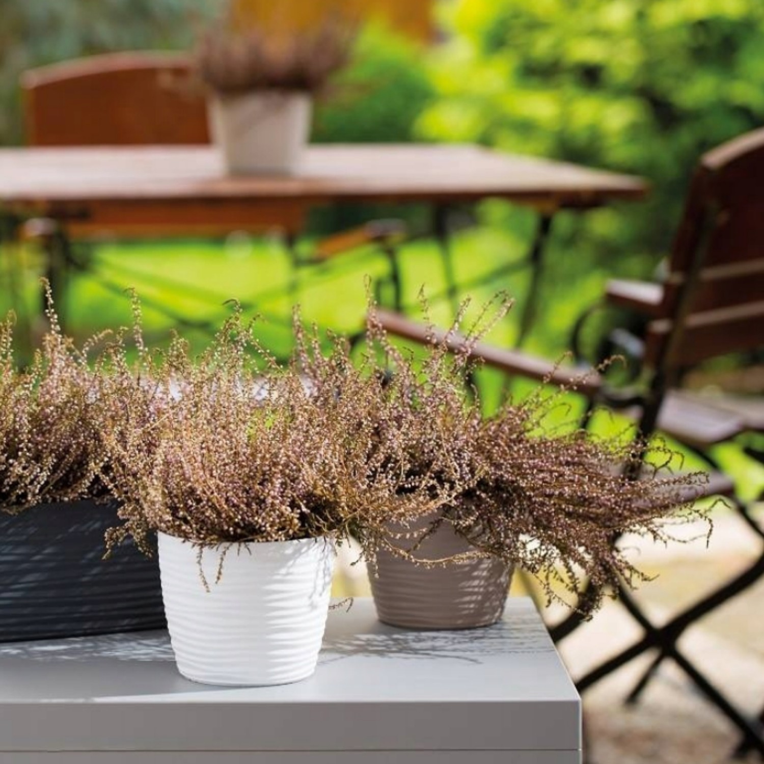 Wavy Round Plastic Plant Pot with Saucer - Image 9