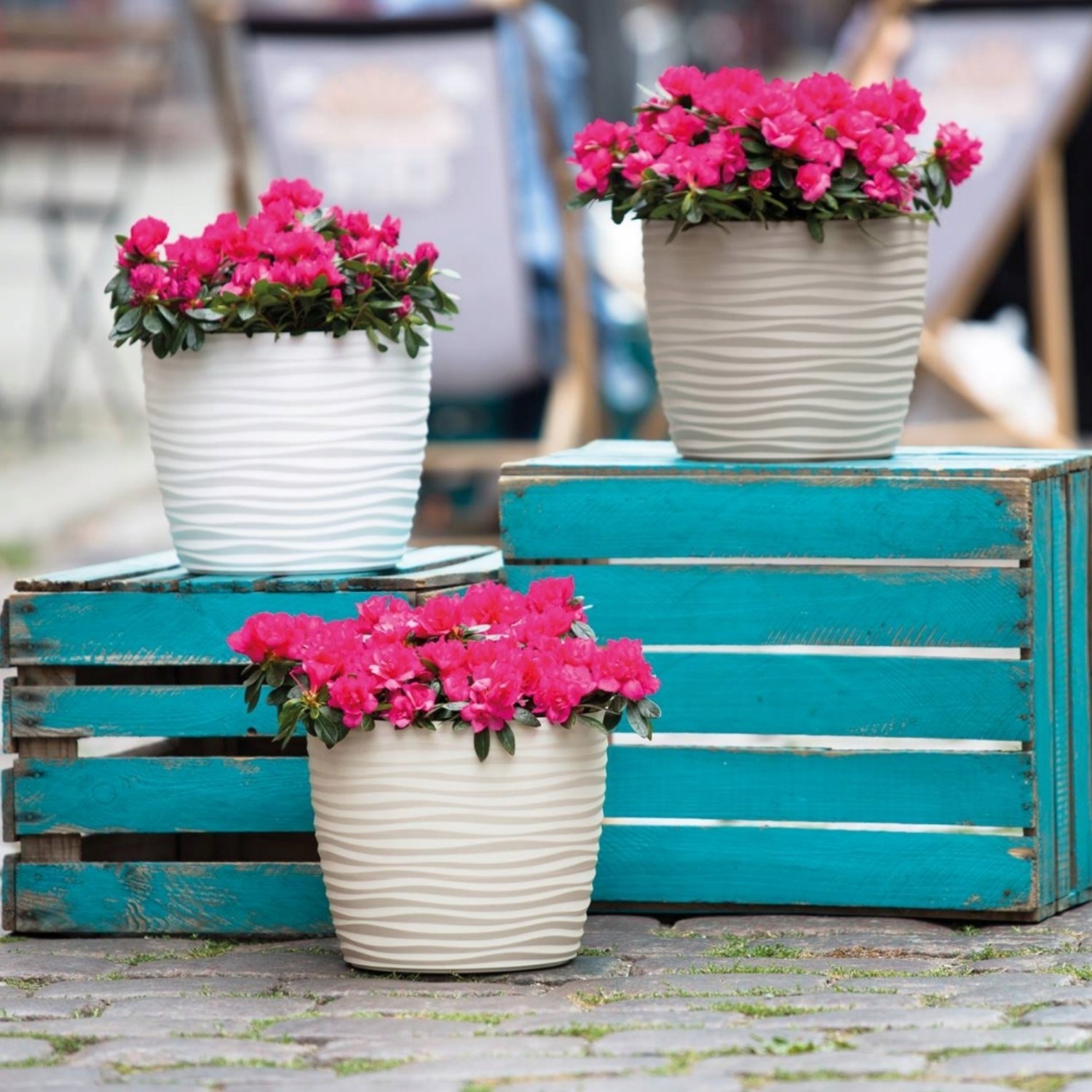 Wavy Round Plastic Plant Pot with Saucer - Image 10