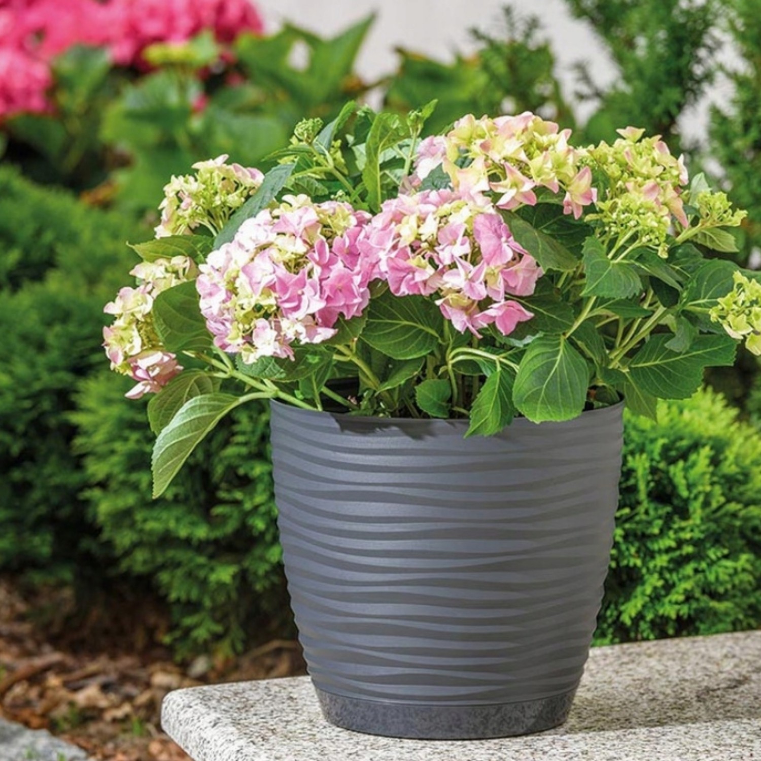 Wavy Round Plastic Plant Pot with Saucer - Image 11