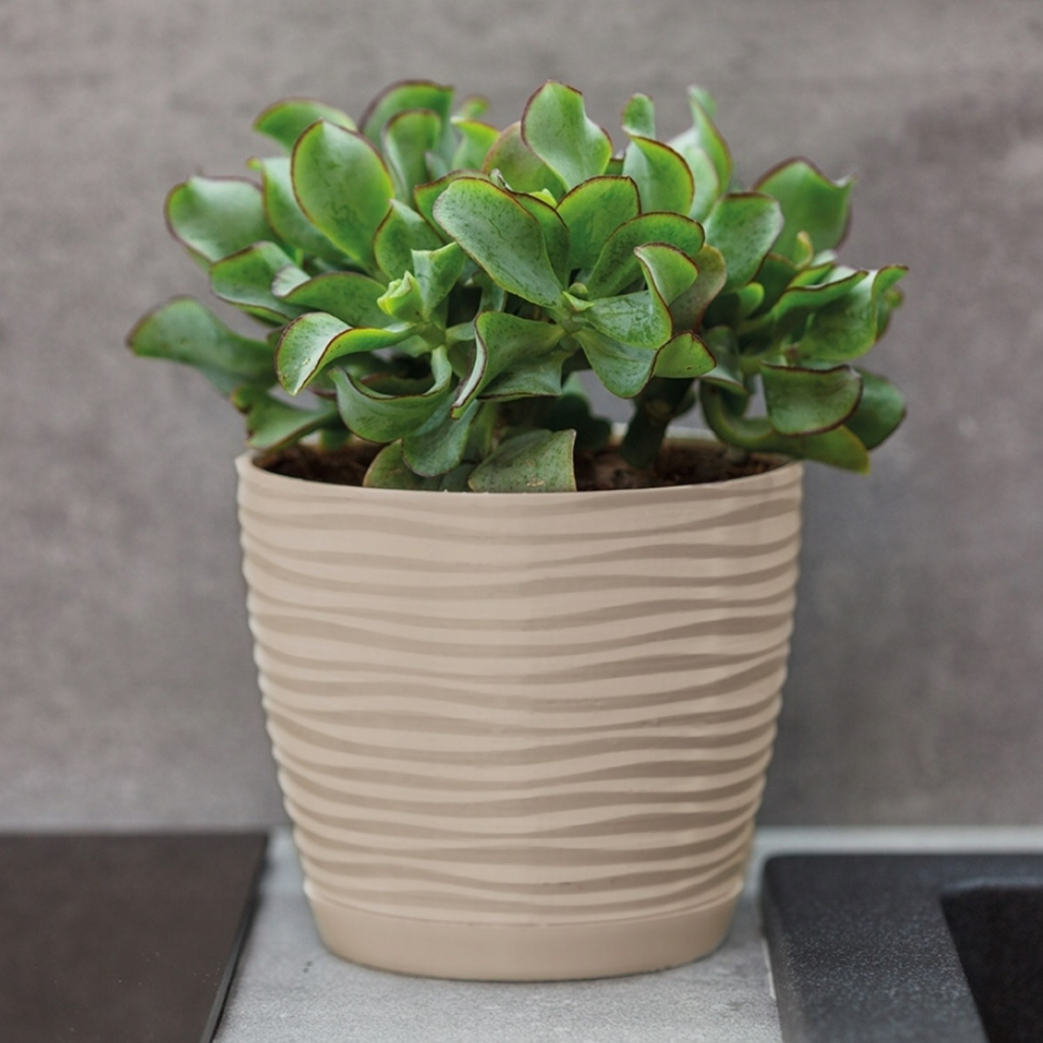 Wavy Round Plastic Plant Pot with Saucer - Image 15