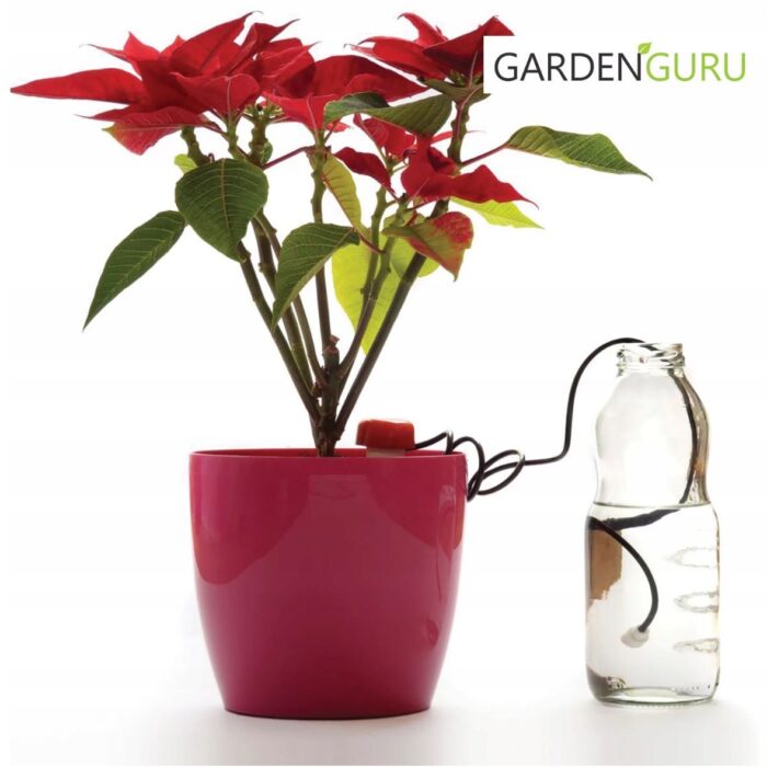 Automatic Potted Plant Watering Dispenser Set of 10