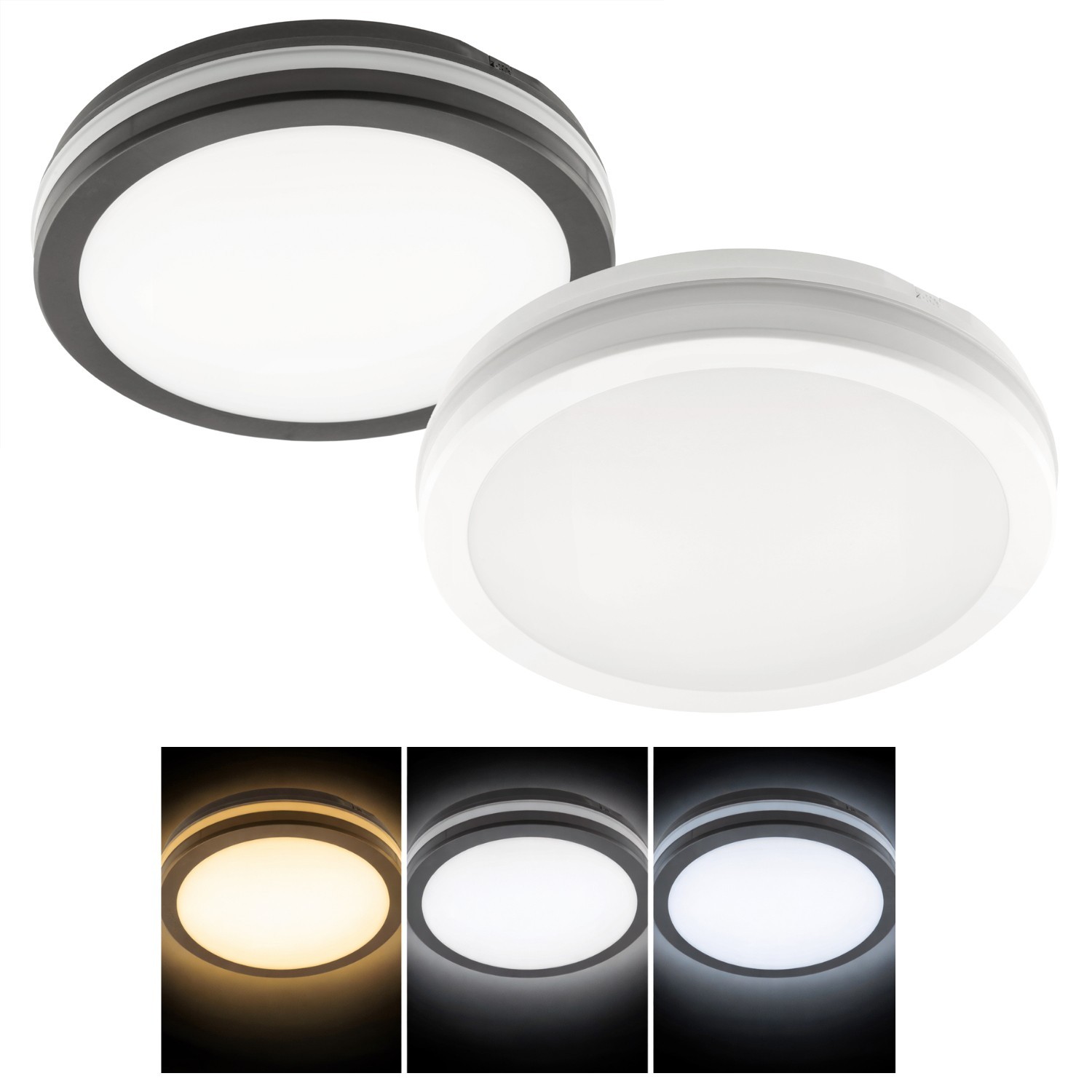 LED Ceiling Downlight Adjustable 12/18/24W CCT IP65