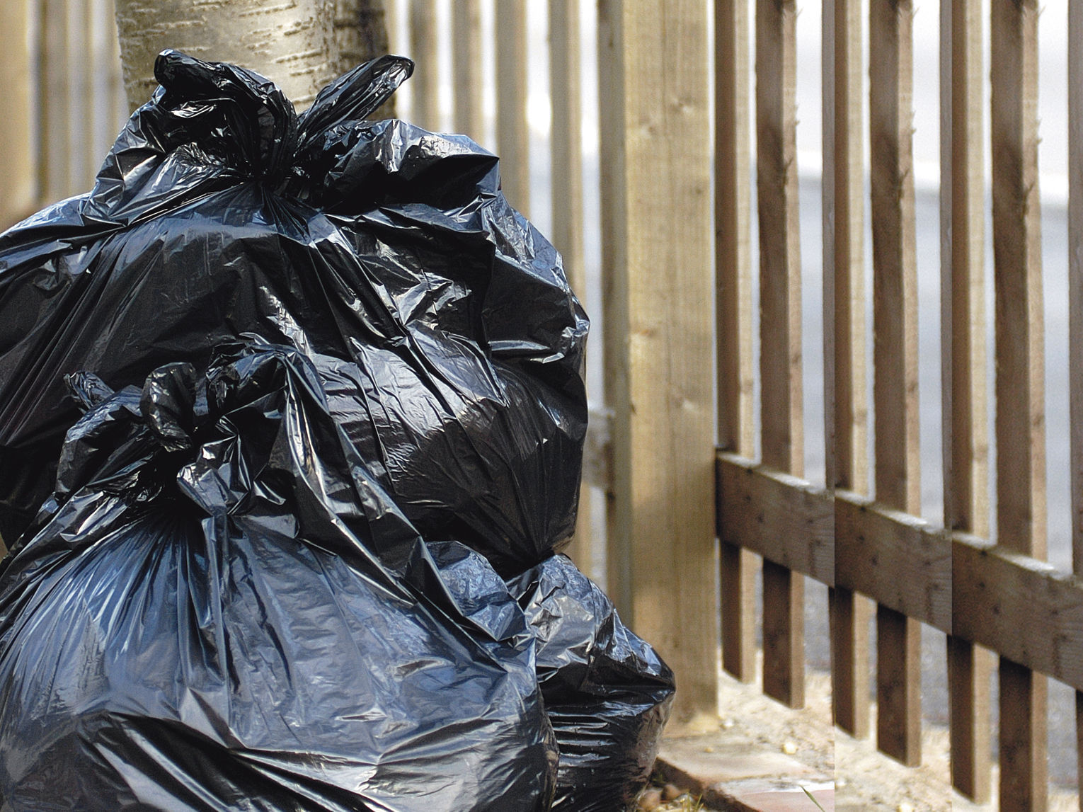 Refuse Sack Black 90L 250 Gauge - Image 2