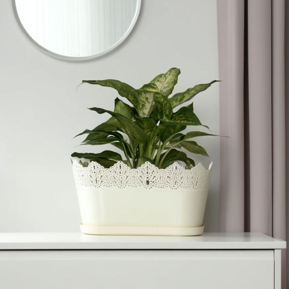 Oval Planter with Saucer Lace-Effect - Image 8