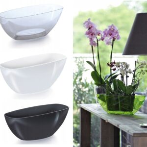 Orchid Pot Oval Transparent Planter with Saucer