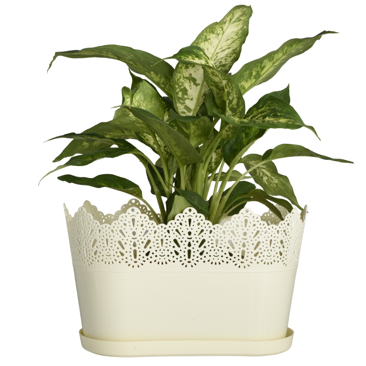 Oval Planter with Saucer Lace-Effect - Image 16