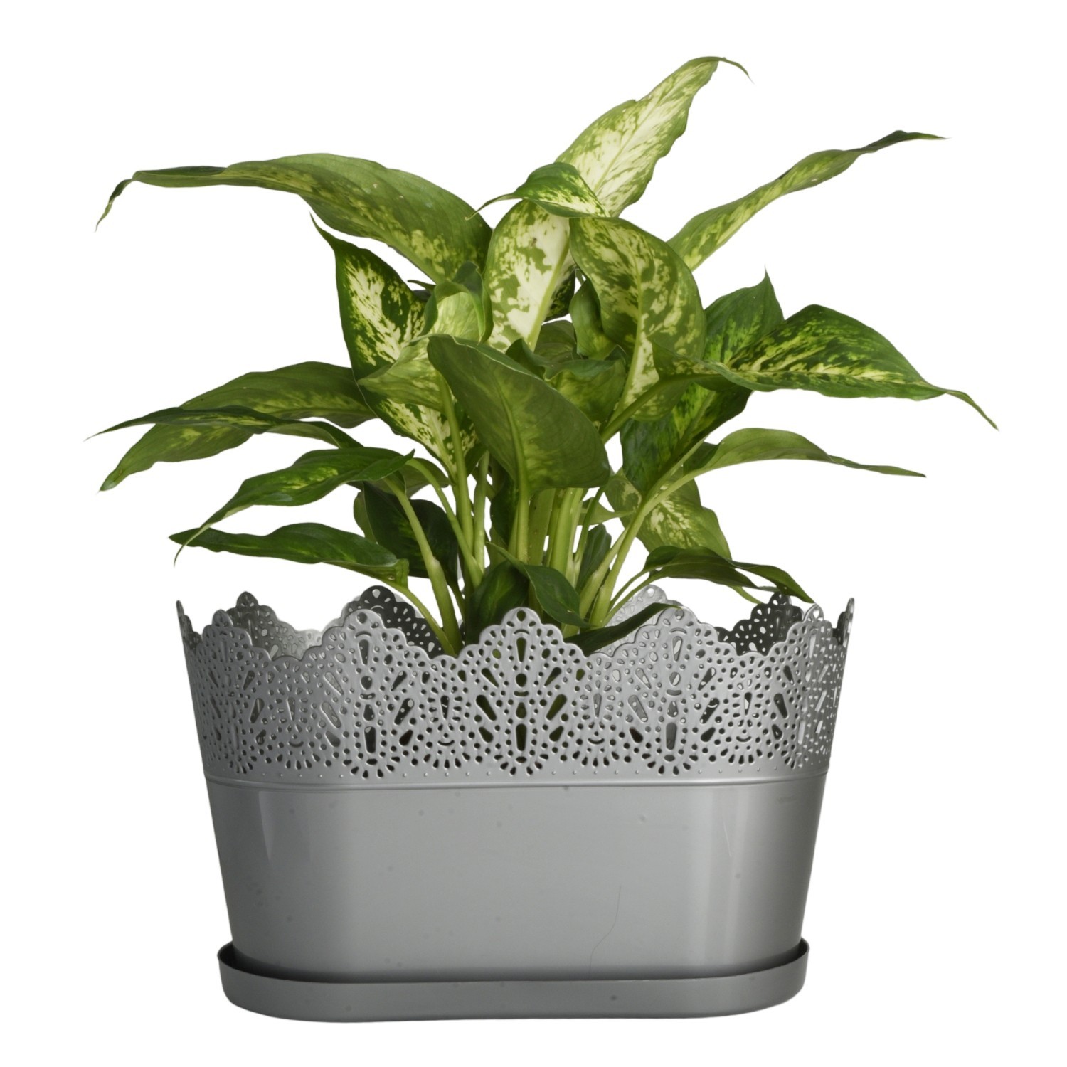 Oval Planter with Saucer Lace-Effect - Image 10