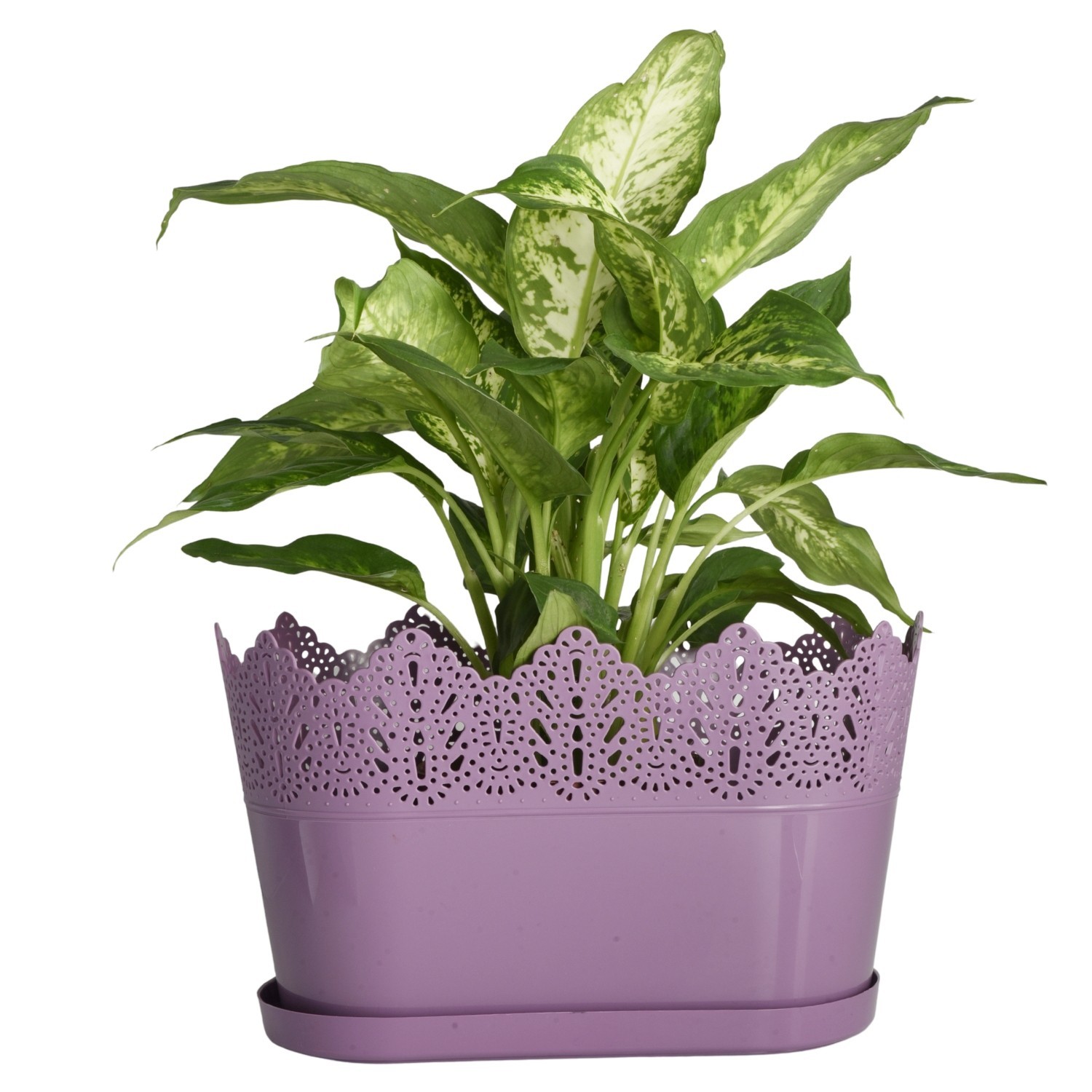 Oval Planter with Saucer Lace-Effect - Image 13