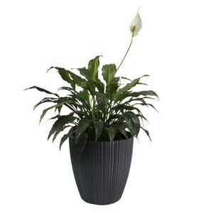 Ridged Round Planter with Insert 30cm Dark Grey
