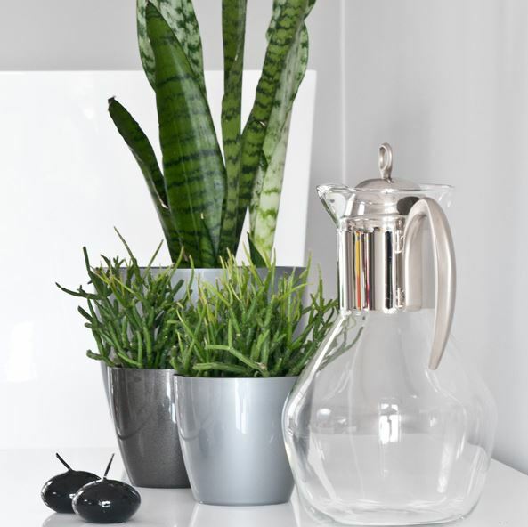 Gloss Round Plant Pot with Saucer 9.5-28cm - Image 5
