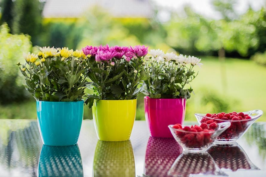 Gloss Round Plant Pot with Saucer 9.5-28cm - Image 6