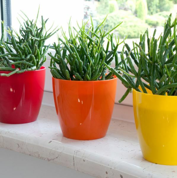 Gloss Round Plant Pot with Saucer 9.5-28cm - Image 7