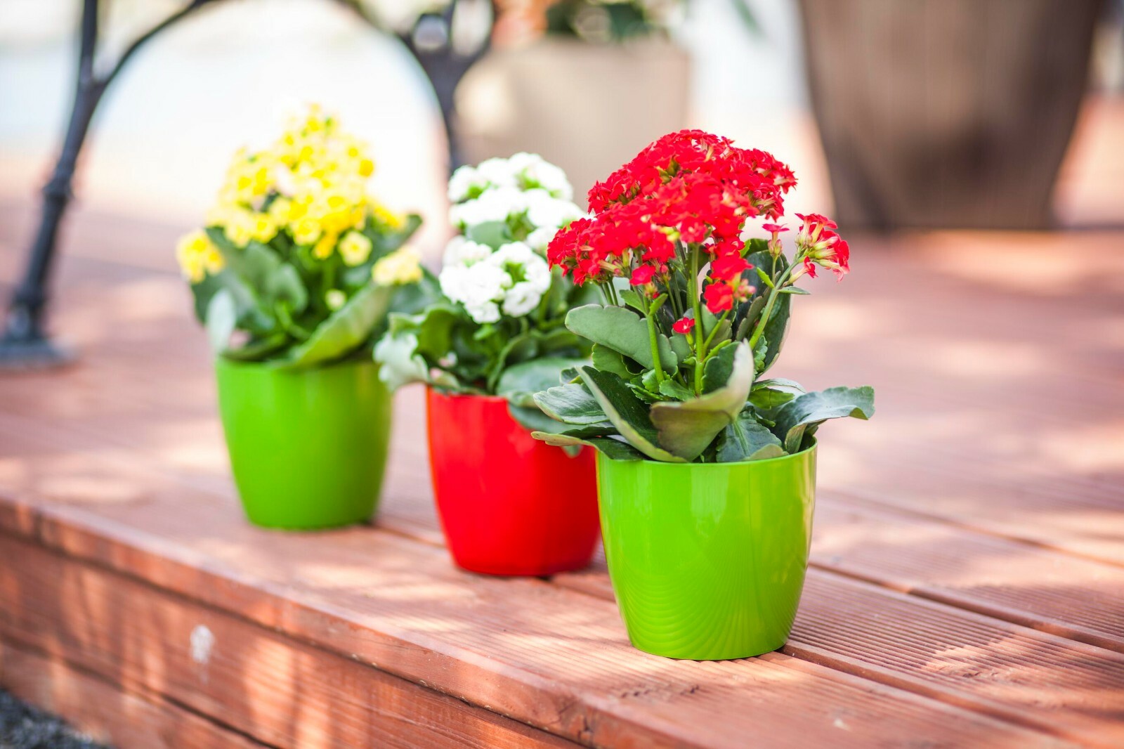 Gloss Round Plant Pot with Saucer 9.5-28cm - Image 8