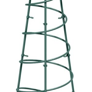 Plant Trellis Support Pyramid with Spiral 60cm