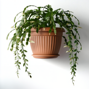 Wall-Mounted Half Round Planter with Saucer