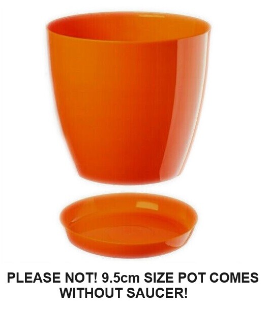 Gloss Round Plant Pot with Saucer 9.5-28cm - Image 13
