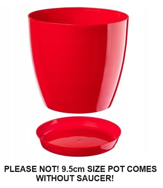 Gloss Round Plant Pot with Saucer 9.5-28cm - Image 12