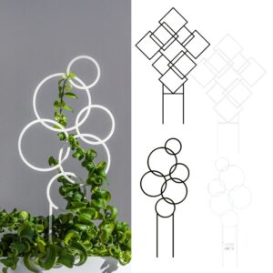 Plant Support Trellis for Climbing Plants