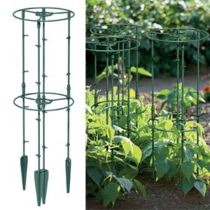 Plant Support Round Trellis Frame for Tomatoes