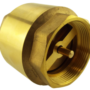 Brass Spring Check Valve BSP Female Thread