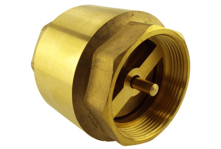Brass spring check valve viewed from its female threaded opening