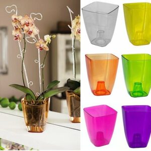 Orchid Pot Polystyrene Transparent with Saucer