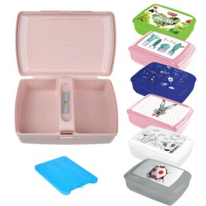 Lunch Box 1.3L Dual Compartment with Cooling Block