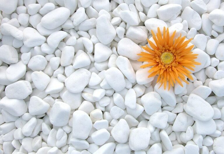 Extra White Marble Pebbles 10-30mm