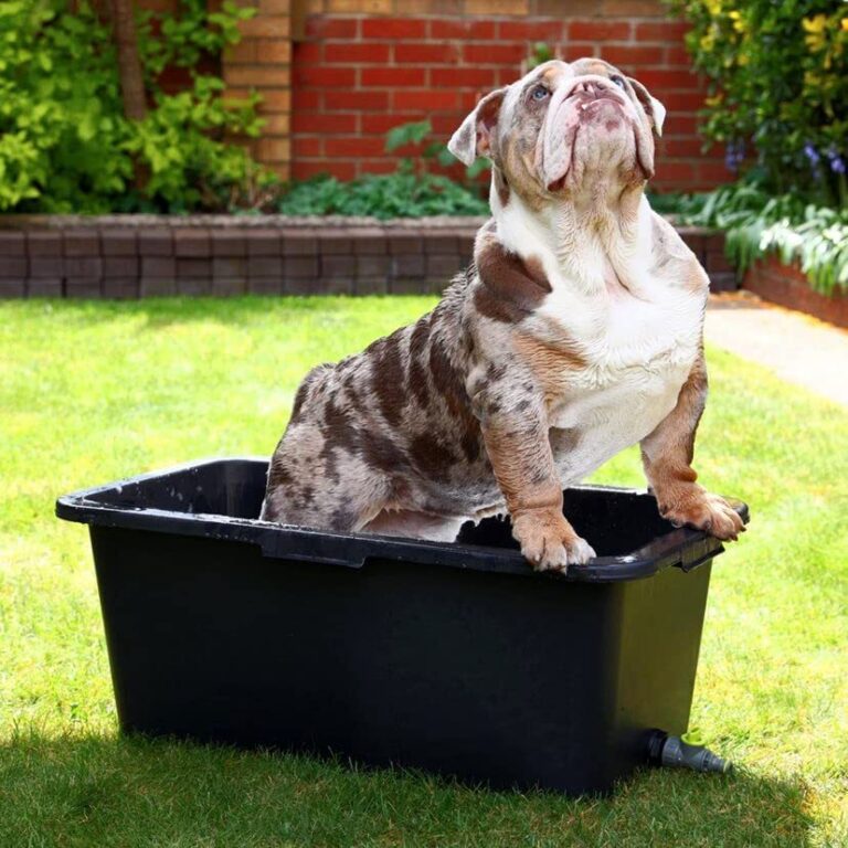 Pet Bath with Drain Tap & Carry Handles