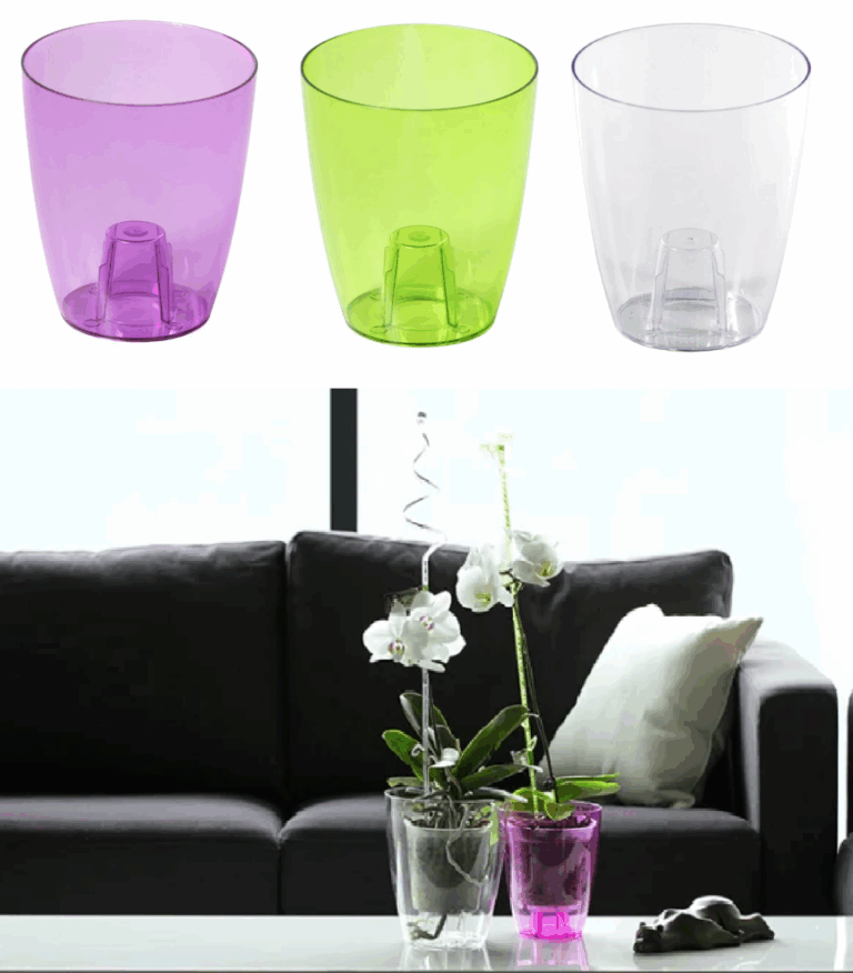 Oval Orchid Pot Transparent 13cm