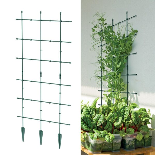 Plant Support Trellis Set Adjustable Climbing Frame | Jumping Bugzy