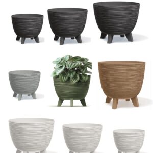 Oval Planter Bowl with Legs and Insert
