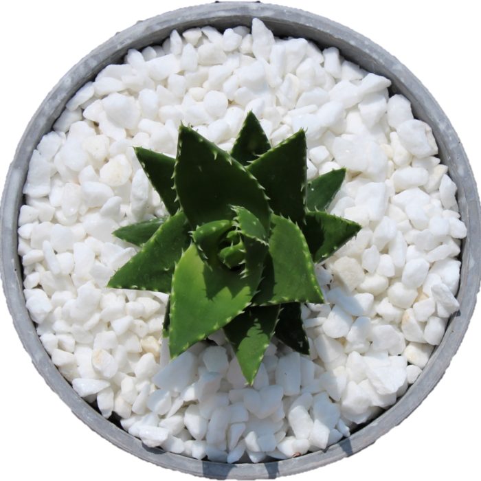Greek Marble Chippings White 8-16mm