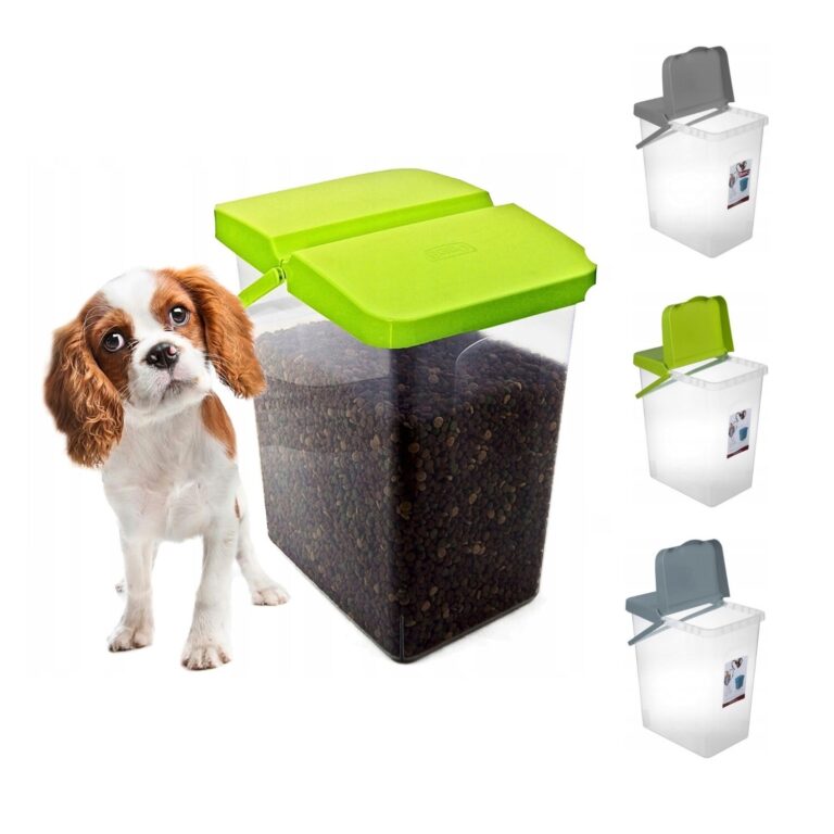 Storage Container with Handle & Dual-Opening Lid