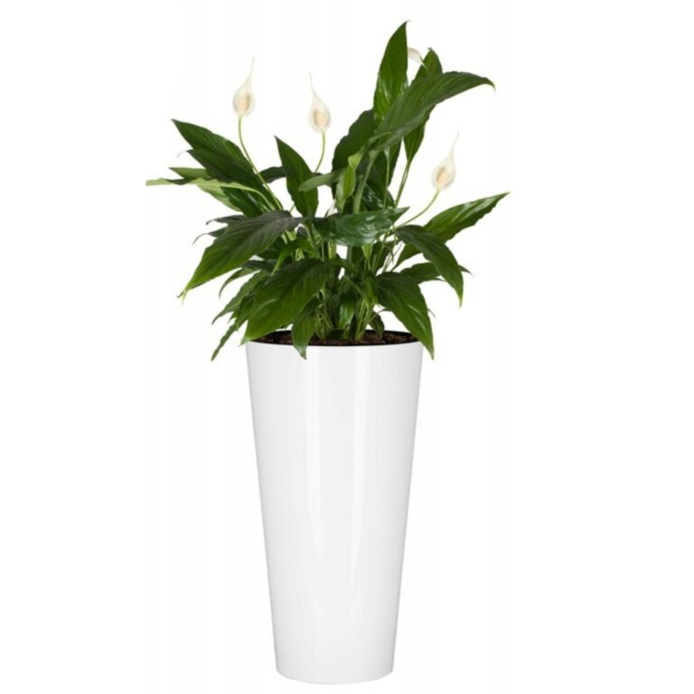 Round Tall Planter Gloss