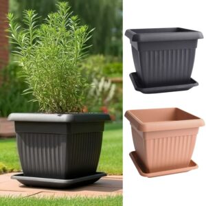 Square Plant Pot with Saucer Polypropylene