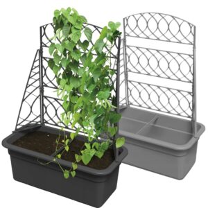 Trellis Planter Box with Detachable Pergola
