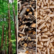 Premium Cat Litter Wood Pellet Non Clumping, Ultra Absorbent Pine Bulk 30L 15kg - 5