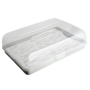 Cake Carrier Box with Lid & Handle
