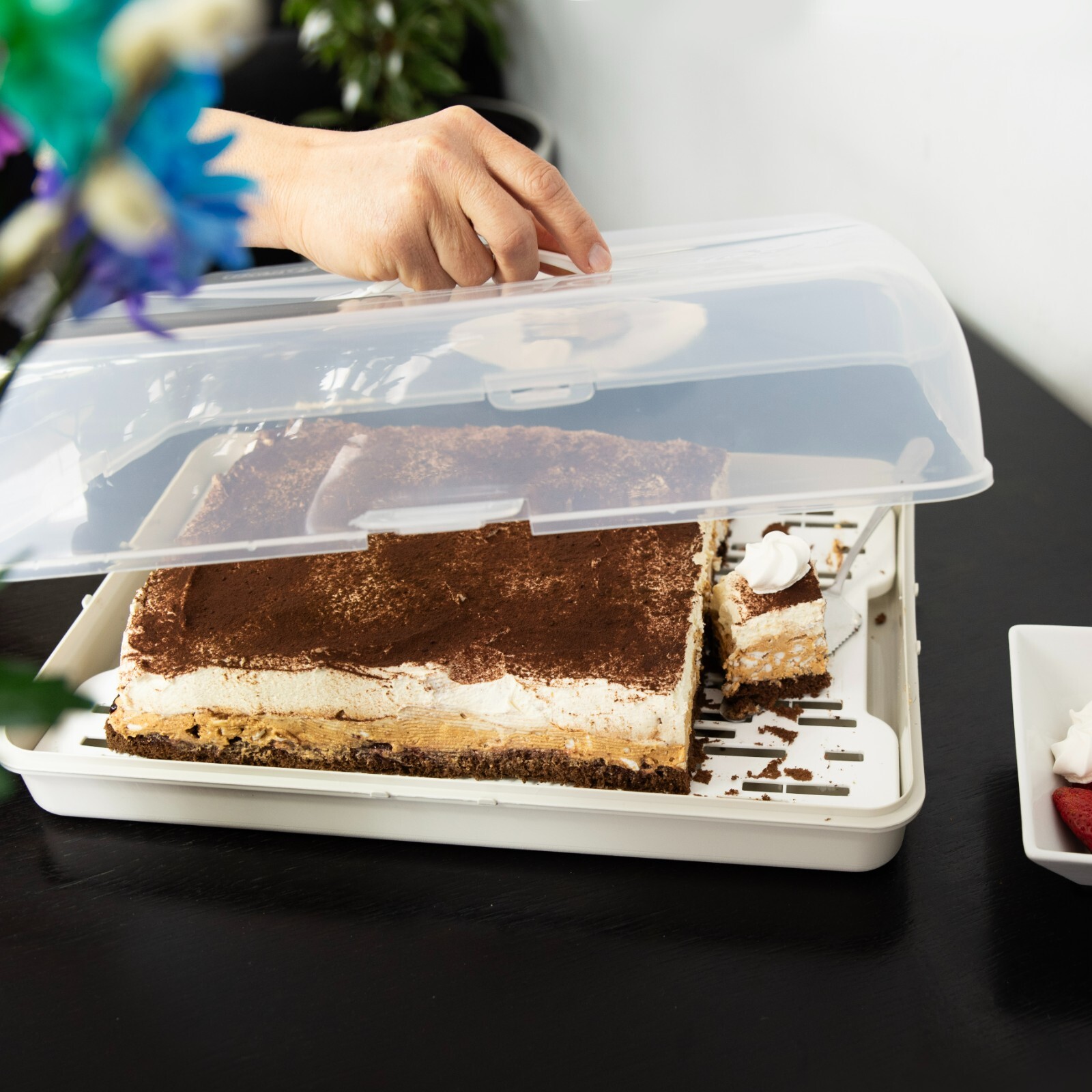 Rectangular Cake Carrier with Handle and Lid - Image 7